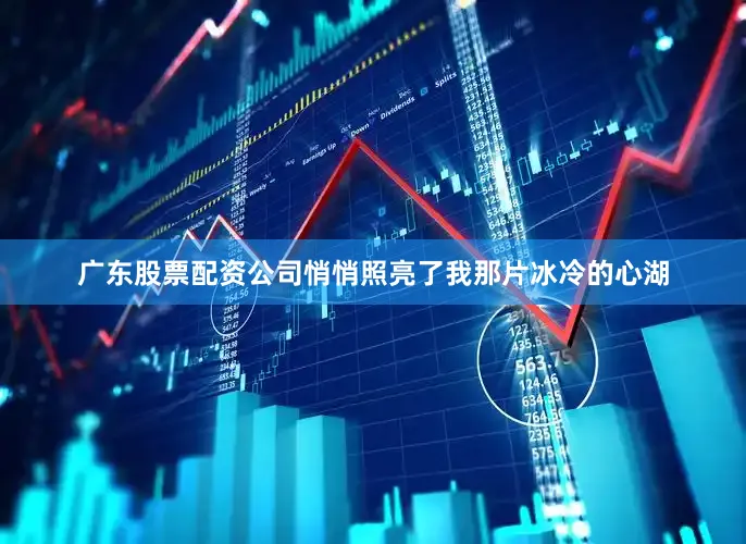广东股票配资公司悄悄照亮了我那片冰冷的心湖